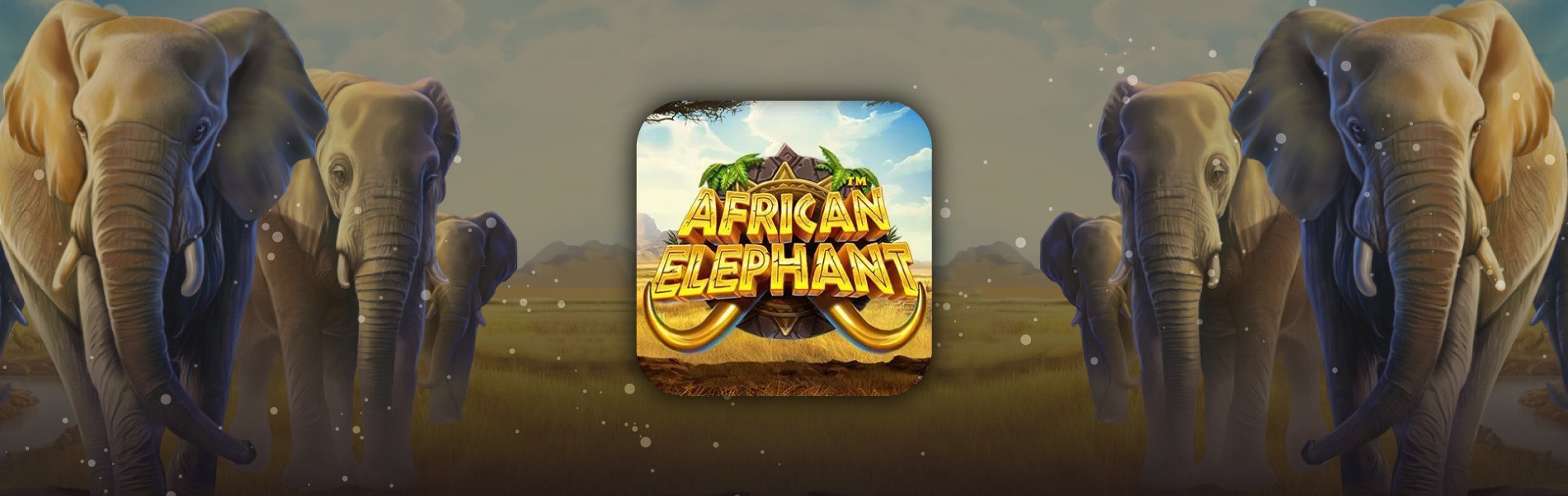 https://cdn.gamblersarea.com/blogs/african elephant gamblersarea_1681141608.jpg